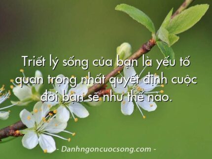 Triết lý sống của bạn là yếu tố quan trọng nhất quyết định cuộc đời bạn sẽ như thế nào.
