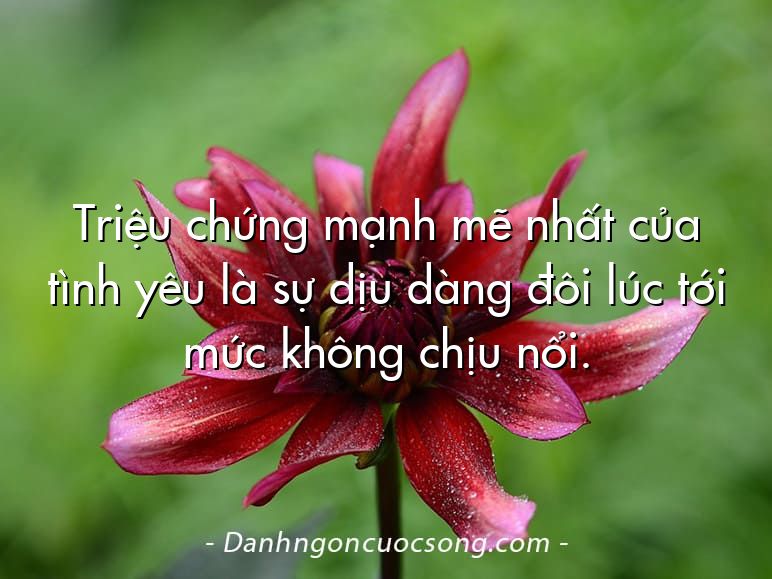 Triệu chứng mạnh mẽ nhất của tình yêu là sự dịu dàng đôi lúc tới mức không chịu nổi.