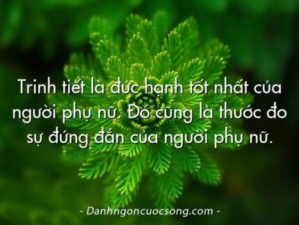 Trinh tiết là đức hạnh tốt nhất của người phụ nữ. Đó cũng là thước đo sự đứng đắn của người phụ nữ.