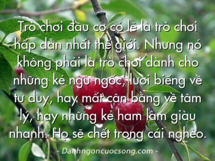 Trò chơi đầu cơ có lẽ là trò chơi hấp dẫn nhất thế giới. Nhưng nó không phải là trò chơi dành cho những kẻ ngu ngốc, lười biếng về tư duy, hay mất cân bằng về tâm lý, hay những kẻ ham làm giàu nhanh. Họ sẽ chết trong cái nghèo.