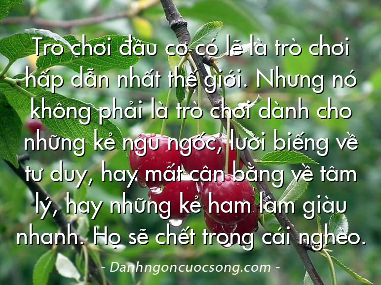 Trò chơi đầu cơ có lẽ là trò chơi hấp dẫn nhất thế giới. Nhưng nó không phải là trò chơi dành cho những kẻ ngu ngốc, lười biếng về tư duy, hay mất cân bằng về tâm lý, hay những kẻ ham làm giàu nhanh. Họ sẽ chết trong cái nghèo.