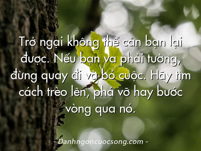 Trở ngại không thể cản bạn lại được. Nếu bạn va phải tường, đừng quay đi và bỏ cuộc. Hãy tìm cách trèo lên, phá vỡ hay bước vòng qua nó.