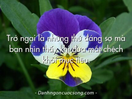 Trở ngại là những thứ đáng sợ mà bạn nhìn thấy khi đưa mắt chệch khỏi mục tiêu.