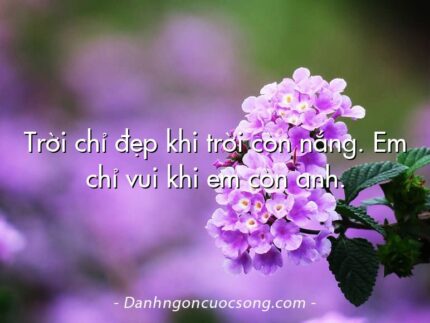 Trời chỉ đẹp khi trời còn nắng. Em chỉ vui khi em còn anh.