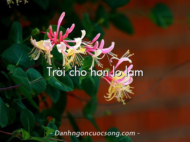 Trời cho hơn lo làm