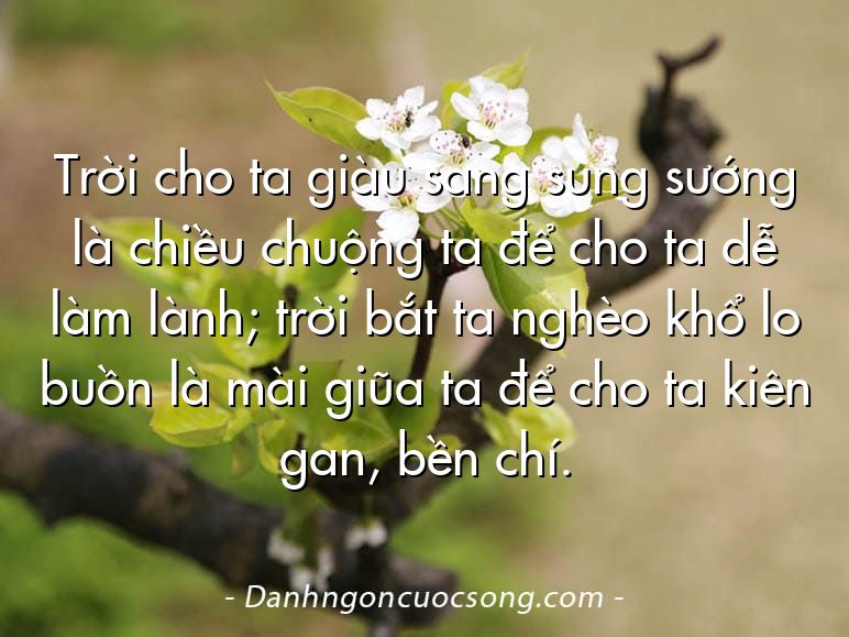 Trời cho ta giàu sang sung sướng là chiều chuộng ta để cho ta dễ làm lành; trời bắt ta nghèo khổ lo buồn là mài giũa ta để cho ta kiên gan, bền chí.
