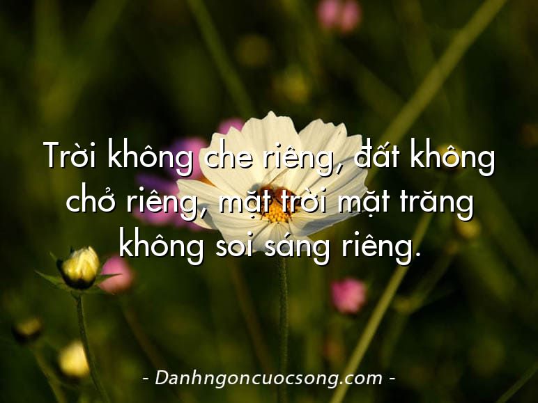 Trời không che riêng, đất không chở riêng, mặt trời mặt trăng không soi sáng riêng.
