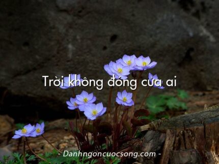 Trời không đóng cửa ai