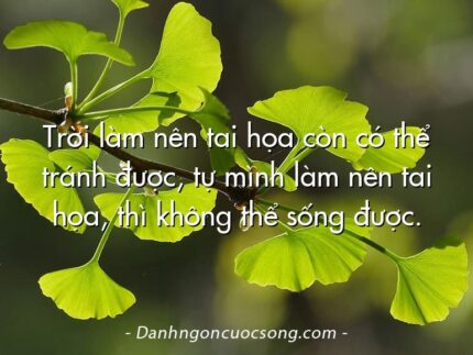 Trời làm nên tai họa còn có thể tránh được, tự mình làm nên tai họa, thì không thể sống được.