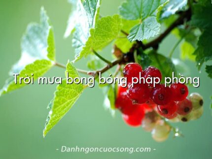 Trời mưa bong bóng phập phồng