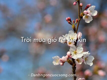 Trời mưa gió rét kìn kìn