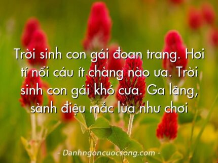Trời sinh con gái đoan trang. Hơi tí nổi cáu ít chàng nào ưa. Trời sinh con gái khó cưa. Ga lăng, sành điệu mắc lừa như chơi