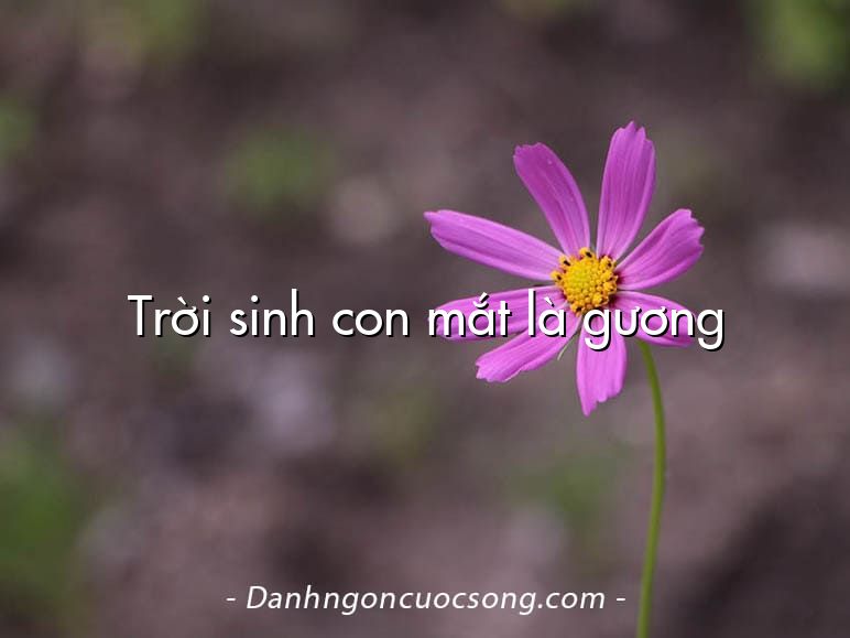 Trời sinh con mắt là gương