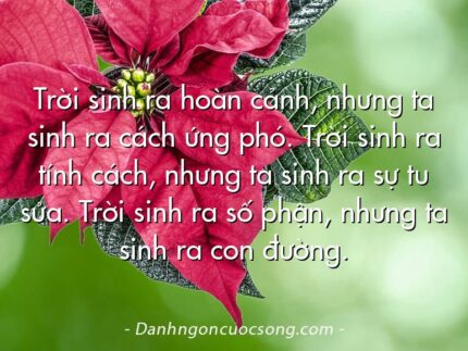 Trời sinh ra hoàn cảnh, nhưng ta sinh ra cách ứng phó. Trời sinh ra tính cách, nhưng ta sinh ra sự tu sửa. Trời sinh ra số phận, nhưng ta sinh ra con đường.