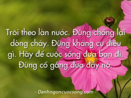 Trôi theo làn nước. Đừng chống lại dòng chảy. Đừng kháng cự điều gì. Hãy để cuộc sống đưa bạn đi. Đừng cố gắng đưa đẩy nó.