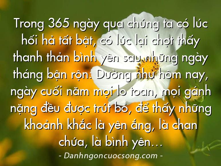 Trong 365 ngày qua chúng ta có lúc hối hả tất bật, có lúc lại chợt thấy thanh thản bình yên sau những ngày tháng bận rộn. Dường như hôm nay, ngày cuối năm mọi lo toan, mọi gánh nặng đều được trút bỏ, để thấy những khoảnh khắc là yên ắng, là chan chứa, là bình yên…