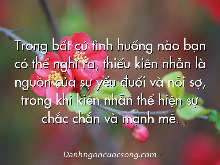 Trong bất cứ tình huống nào bạn có thể nghĩ ra, thiếu kiên nhẫn là nguồn của sự yếu đuối và nỗi sợ, trong khi kiên nhẫn thể hiện sự chắc chắn và mạnh mẽ.