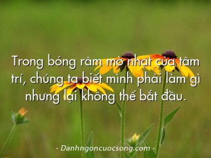 Trong bóng râm mờ nhạt của tâm trí, chúng ta biết mình phải làm gì nhưng lại không thể bắt đầu.