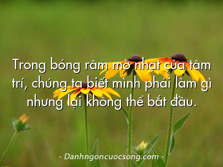 Trong bóng râm mờ nhạt của tâm trí, chúng ta biết mình phải làm gì nhưng lại không thể bắt đầu.