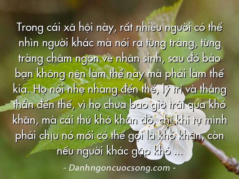 Trong cái xã hội này, rất nhiều người có thể nhìn người khác mà nói ra từng tràng, từng tràng châm ngôn về nhân sinh, sau đó bảo bạn không nên làm thế này mà phải làm thế kia. Họ nói nhẹ nhàng đến thế, lý trí và thẳng thắn đến thế, vì họ chưa bao giờ trải qua khó khăn, mà cái thứ khó khăn đó, chỉ khi tự mình phải chịu nó mới có thể gọi là khó khăn, còn nếu người khác gặp khó khăn, nhiều nhất chỉ đồng cảm mà thôi…
