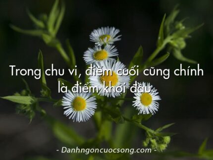 Trong chu vi, điểm cuối cũng chính là điểm khởi đầu.