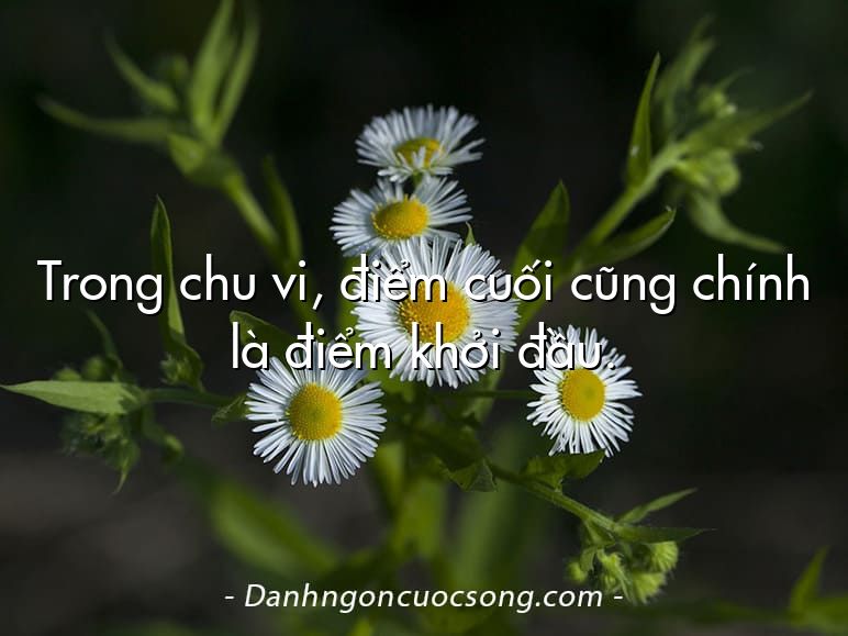 Trong chu vi, điểm cuối cũng chính là điểm khởi đầu.