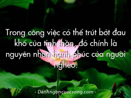 Trong công việc có thể trút bớt đau khổ của tinh thần, đó chính là nguyên nhân hạnh phúc của người nghèo.