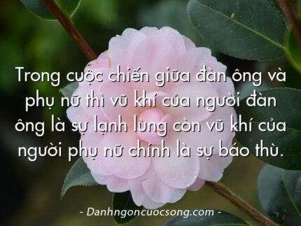 Trong cuộc chiến giữa đàn ông và phụ nữ thì vũ khí của người đàn ông là sự lạnh lùng còn vũ khí của người phụ nữ chính là sự báo thù.
