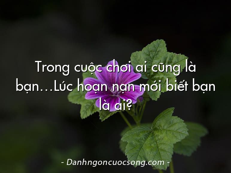Trong cuộc chơi ai cũng là bạn…Lúc hoạn nạn mới biết bạn là ai?