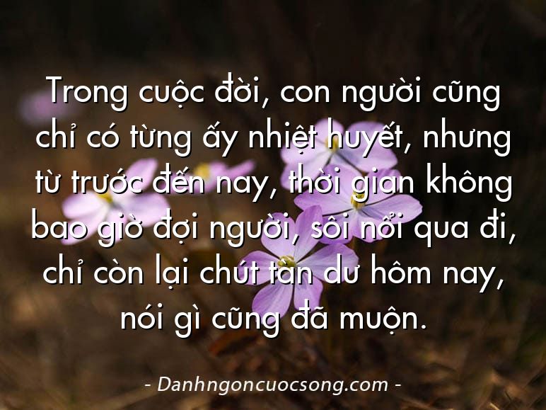 Trong cuộc đời, con người cũng chỉ có từng ấy nhiệt huyết, nhưng từ trước đến nay, thời gian không bao giờ đợi người, sôi nổi qua đi, chỉ còn lại chút tàn dư hôm nay, nói gì cũng đã muộn.