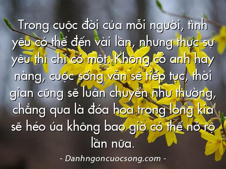 Trong cuộc đời của mỗi người, tình yêu có thể đến vài lần, nhưng thực sự yêu thì chỉ có một. Không có anh hay nàng, cuộc sống vẫn sẽ tiếp tục, thời gian cũng sẽ luân chuyển như thường, chẳng qua là đóa hoa trong lòng kia sẽ héo úa không bao giờ có thể nở rộ lần nữa.