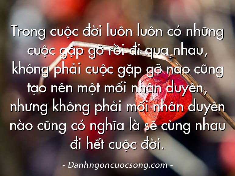 Trong cuộc đời luôn luôn có những cuộc gặp gỡ rồi đi qua nhau, không phải cuộc gặp gỡ nào cũng tạo nên một mối nhân duyên, nhưng không phải mối nhân duyên nào cũng có nghĩa là sẽ cùng nhau đi hết cuộc đời.