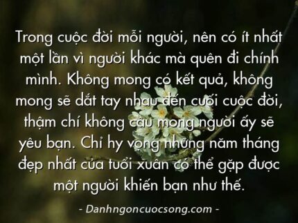 Trong cuộc đời mỗi người, nên có ít nhất một lần vì người khác mà quên đi chính mình. Không mong có kết quả, không mong sẽ dắt tay nhau đến cuối cuộc đời, thậm chí không cầu mong người ấy sẽ yêu bạn. Chỉ hy vọng những năm tháng đẹp nhất của tuổi xuân có thể gặp được một người khiến bạn như thế.