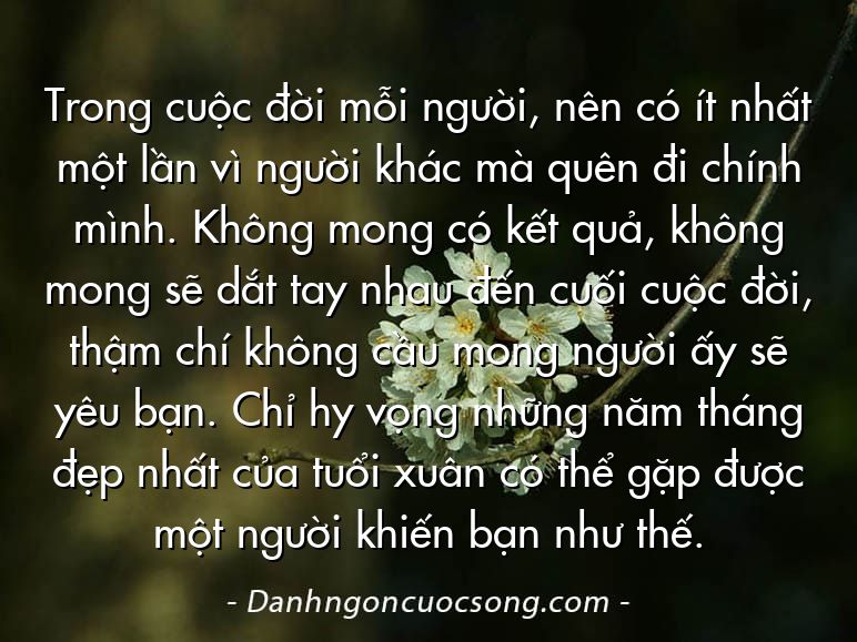 Trong cuộc đời mỗi người, nên có ít nhất một lần vì người khác mà quên đi chính mình. Không mong có kết quả, không mong sẽ dắt tay nhau đến cuối cuộc đời, thậm chí không cầu mong người ấy sẽ yêu bạn. Chỉ hy vọng những năm tháng đẹp nhất của tuổi xuân có thể gặp được một người khiến bạn như thế.