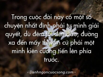 Trong cuộc đời này có một số chuyện nhất định phải tự mình giải quyết, dù đêm tối đến đâu, đường xa đến mấy thì vẫn cứ phải một mình kiên cường tiến lên phía trước.