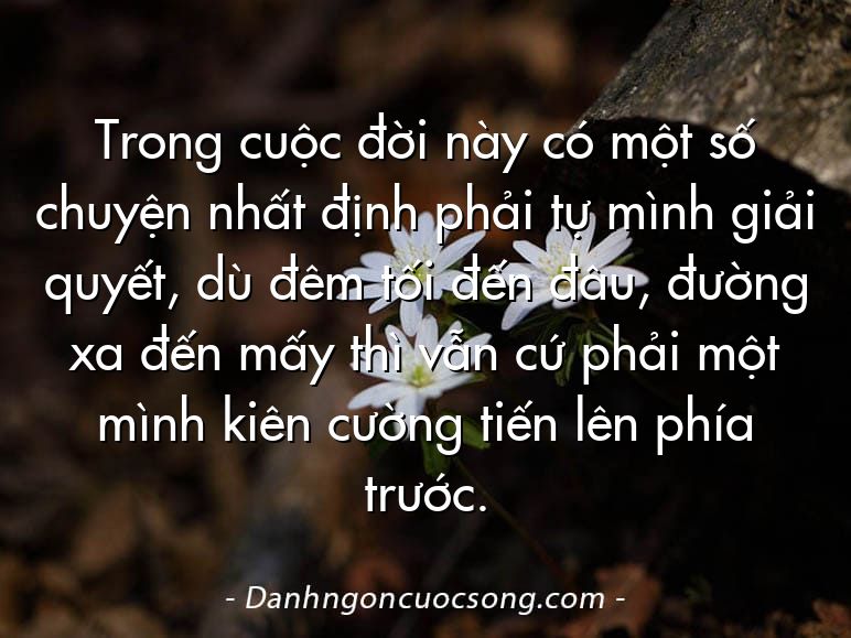 Trong cuộc đời này có một số chuyện nhất định phải tự mình giải quyết, dù đêm tối đến đâu, đường xa đến mấy thì vẫn cứ phải một mình kiên cường tiến lên phía trước.