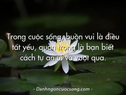Trong cuộc sống, buồn vui là điều tất yếu, quan trọng là bạn biết cách tự an ủi và vượt qua.