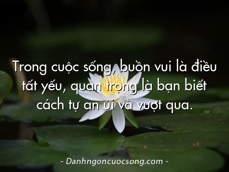 Trong cuộc sống, buồn vui là điều tất yếu, quan trọng là bạn biết cách tự an ủi và vượt qua.