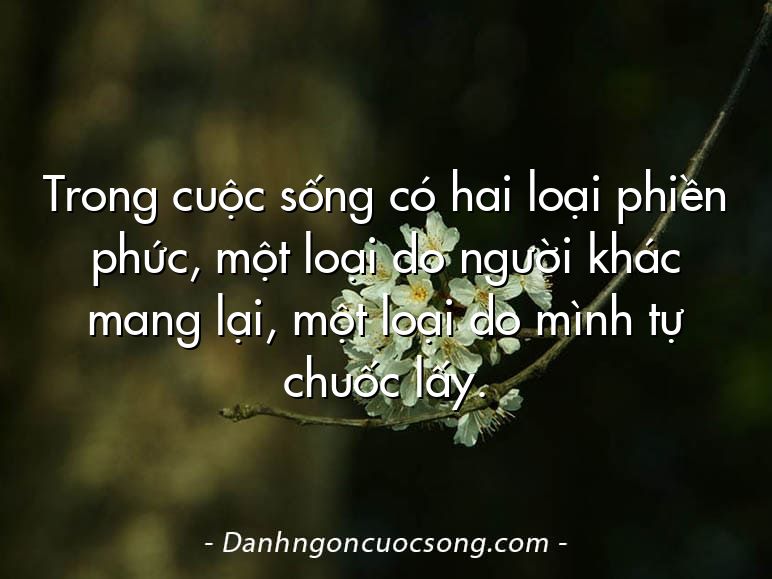 Trong cuộc sống có hai loại phiền phức, một loại do người khác mang lại, một loại do mình tự chuốc lấy.