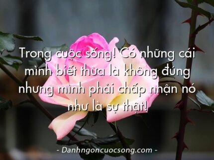 Trong cuộc sống! Có những cái mình biết thừa là không đúng nhưng mình phải chấp nhận nó như là sự thật!