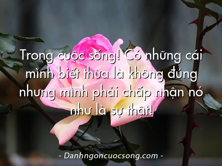 Trong cuộc sống! Có những cái mình biết thừa là không đúng nhưng mình phải chấp nhận nó như là sự thật!