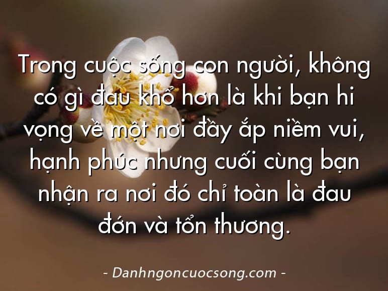 Trong cuộc sống con người, không có gì đau khổ hơn là khi bạn hi vọng về một nơi đầy ắp niềm vui, hạnh phúc nhưng cuối cùng bạn nhận ra nơi đó chỉ toàn là đau đớn và tổn thương.