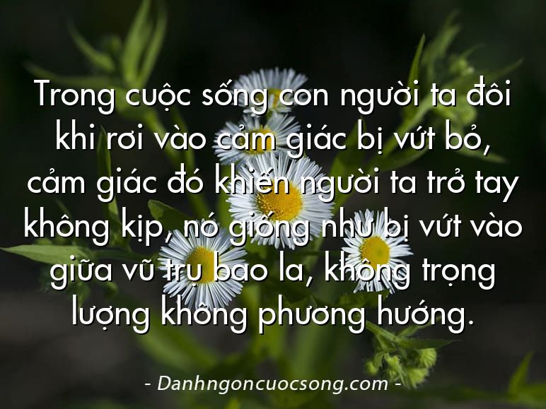 Trong cuộc sống con người ta đôi khi rơi vào cảm giác bị vứt bỏ, cảm giác đó khiến người ta trở tay không kịp, nó giống như bị vứt vào giữa vũ trụ bao la, không trọng lượng không phương hướng.