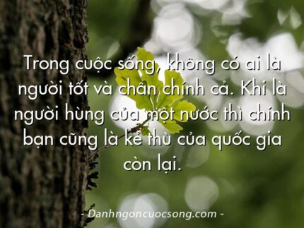 Trong cuộc sống, không có ai là người tốt và chân chính cả. Khi là người hùng của một nước thì chính bạn cũng là kẻ thù của quốc gia còn lại.