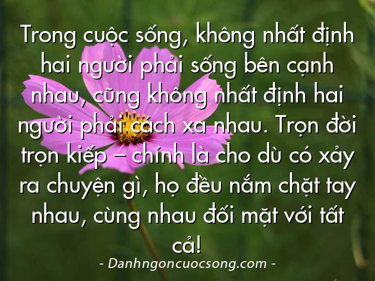 Trong cuộc sống, không nhất định hai người phải sống bên cạnh nhau, cũng không nhất định hai người phải cách xa nhau. Trọn đời trọn kiếp – chính là cho dù có xảy ra chuyện gì, họ đều nắm chặt tay nhau, cùng nhau đối mặt với tất cả!