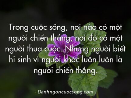 Trong cuộc sống, nơi nào có một người chiến thắng, nơi đó có một người thua cuộc. Nhưng người biết hi sinh vì người khác luôn luôn là người chiến thắng.