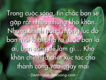 Trong cuộc sóng, tin chắc bạn sẽ gặp rất nhiều những khó khăn. Nhưng chính trong những lúc đó bạn mới khai phá ra được bạn là ai, bạn sống để làm gì… Khó khăn chính là chất xúc tác cho thành công vào ngày mai