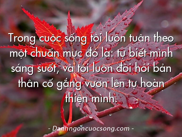 Trong cuộc sống tôi luôn tuân theo một chuẩn mực đó là: tự biết mình sáng suốt, và tôi luôn đòi hỏi bản thân cố gắng vươn lên tự hoàn thiện mình.