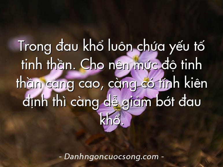 Trong đau khổ luôn chứa yếu tố tinh thần. Cho nên mức độ tinh thần càng cao, càng có tính kiên định thì càng dễ giảm bớt đau khổ.