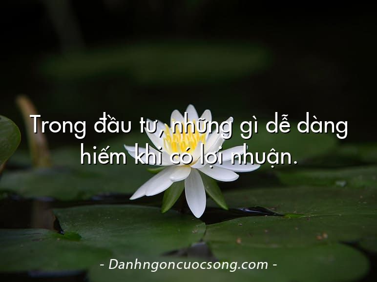 Trong đầu tư, những gì dễ dàng hiếm khi có lợi nhuận.